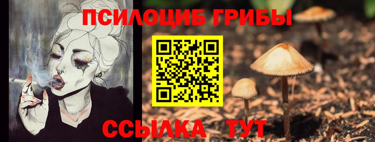 Нерюнгри  Галлюциногенные грибы Psilocybine cubensis  Вход с VPN  Псилоцибиновые грибы мицелий 